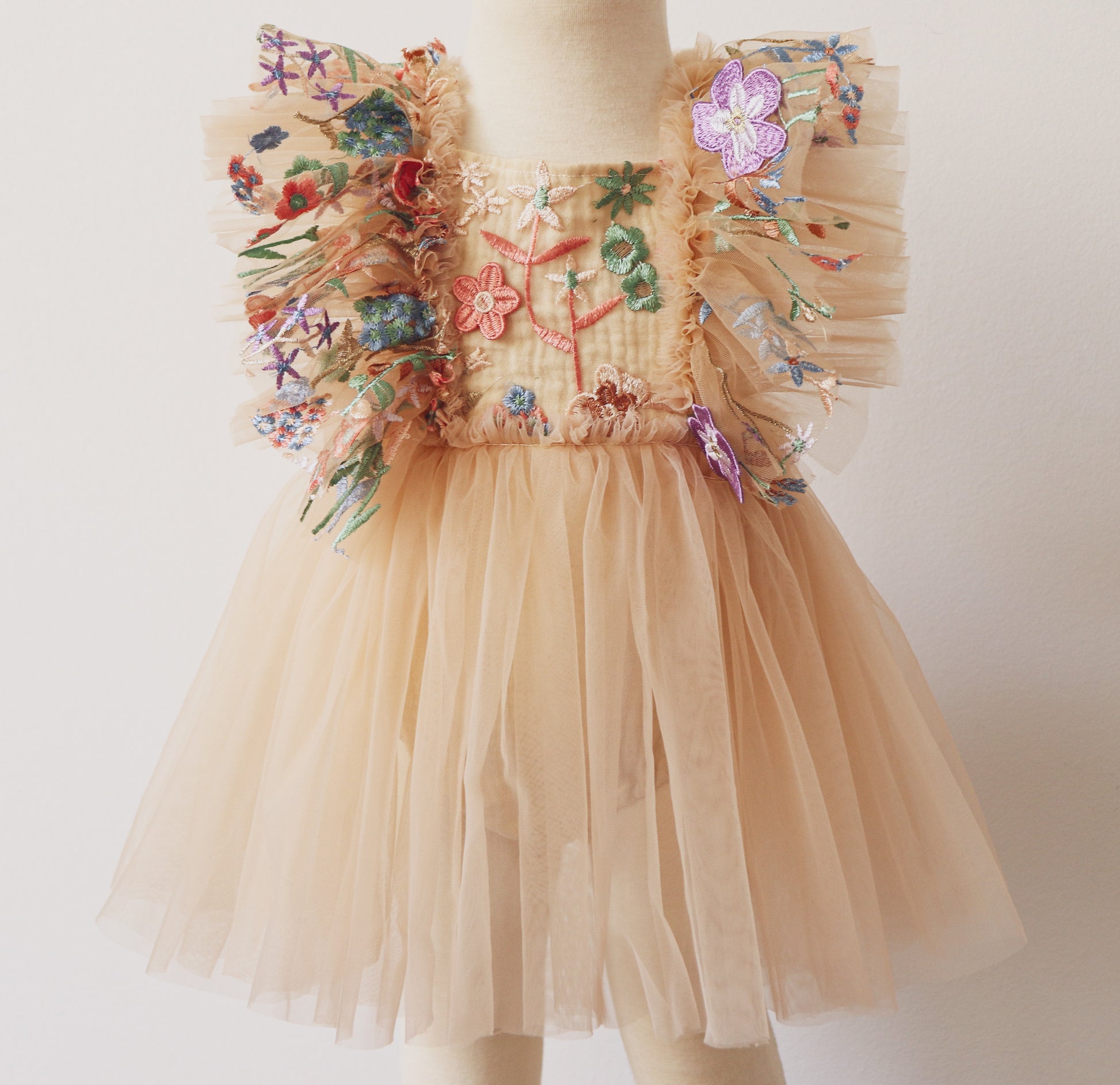 Beige tulle dress with colorful floral embroidery and ruffled sleeves for infant portrait session clothing