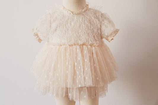 Close-up of an ivory fringe bodice with tulle dotted sleeves and a beige dotted skirt, perfect for formal events