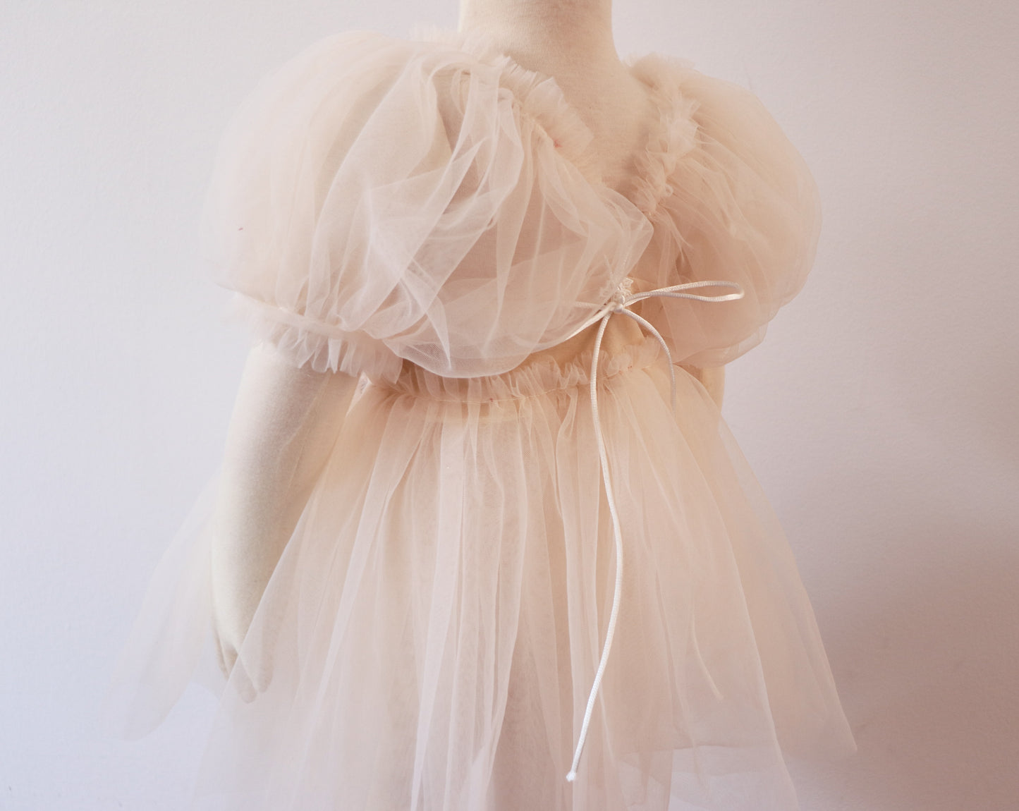 Elegant ivory dress featuring a velvet top, delicate embroidered flowers, and lightweight tulle fabric.