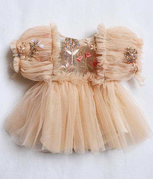 Newborn outfit with soft champagne tulle sleeves and flower embroidery, perfect for keepsake baby portraits.

